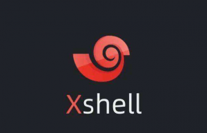 Xshell连接不上虚拟机解决方案