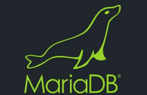 详解MariaDB架构