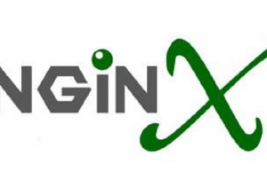 NGINX动静分离