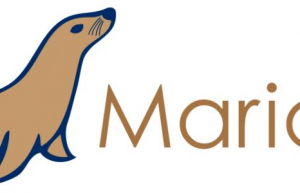 详解Mariadb数据类型
