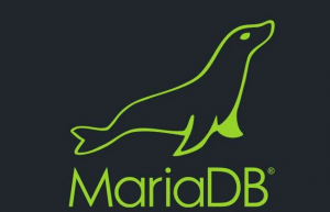 详解Mariadb索引