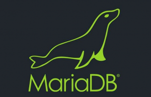 详解Mariadb单表查询