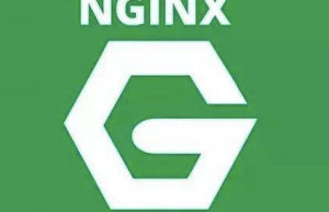 详解nginx access_log日志