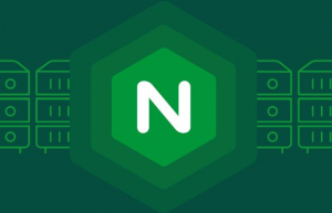 详解Nginx 中 proxy_pass