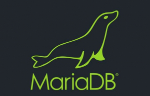 详解Mariadb SELECT子查询及UNION