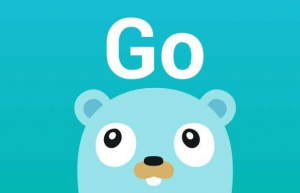 详解golang toolkits包使用
