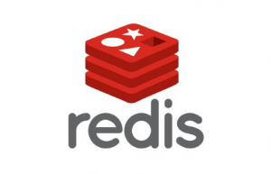 Redis持久化RDB和AOF具体方法