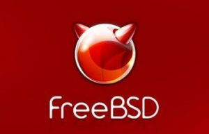 分享一下FreeBSD常用操作