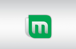 w10中安装Linux Mint具体方法