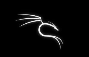 VirtualBox 上安装 Kali Linux具体步骤