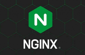 Nginx部署https加密认证