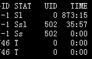 Linux下正确查杀stopped进程