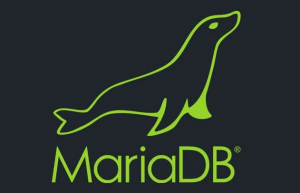 详解Mariadb复合语句和流程控制