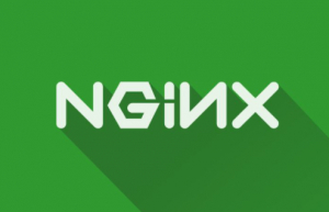 nginx首页中文乱码问题解决方法