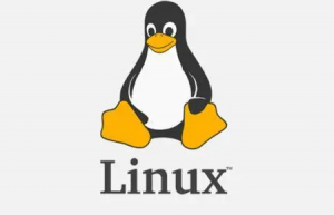 Linux中如何屏蔽海外流量