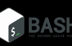 Bash变量递增或递减操作