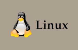 对你的Linux进行冻结或锁定