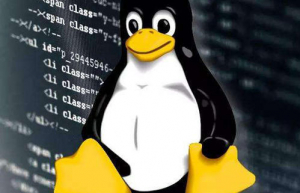 Linux中与用户账号相关的重要文件