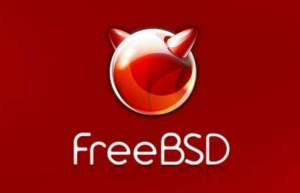 FreeBSD虚拟机安装VMware Tools