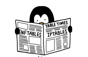 构建nftables具体方案