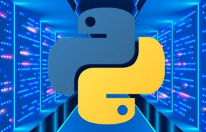 使用python对文本进行对齐