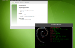 Linux资深用户的特征有哪些？