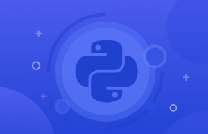 python中调试方法