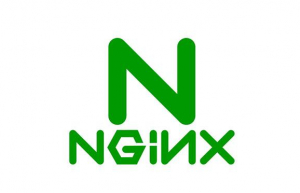 Nginx通过IP方式访问页面项目出错解决方案
