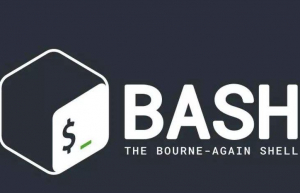 通过Bash实现登录Shell 时显示 Linux系统信息