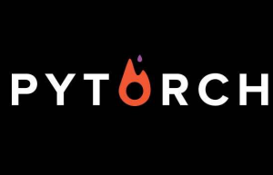 详解PyTorch finetune使用方法