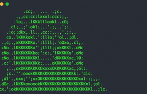 Linux Progress命令使用实例