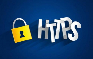 通过https访问www服务