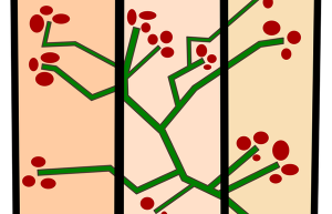安装和实用命令行利器：Byobu