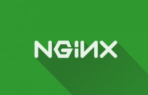 Mac OS X 10.15部署Nginx