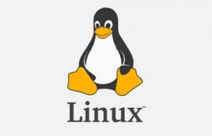 Linux终端中实现大小写字符转换