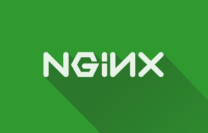 介绍一下Nginx中基本概念
