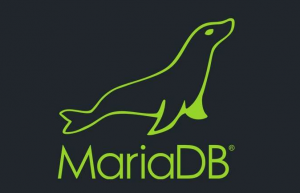 Linux中破解MariaDB5.5 数据库root 登录密码
