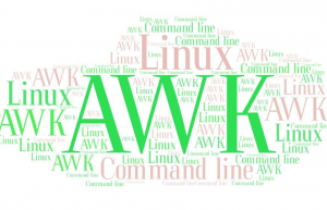 分享一下awk命令使用实例