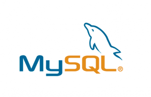 讲解一下MySQL中FLOAT和DOUBLE类型