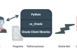 Python 安装并使用cx_Oracle模块