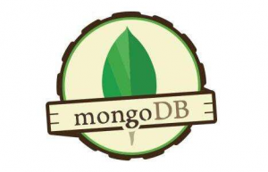 详解MongoDB的主从配置