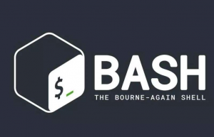 讲解一下bash初始化机制