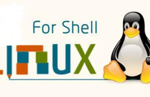 详解Shell脚本的条件测试和if条件语句