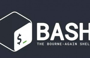 讲解一下Bash 中的 for 循环