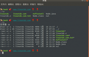 对Linux终端和Shell提示符进行美化