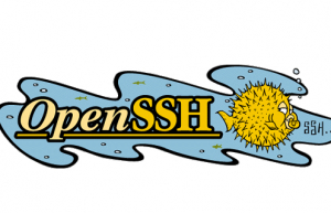 CentOS 7中升级openssh版本为8.6