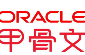 oracle中创建只读账号