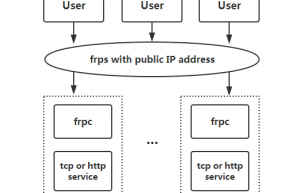 通过frp内网穿透访问家里的Web网站