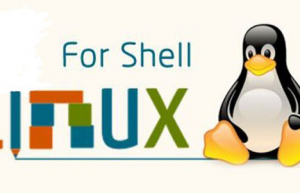企业生产环境Shell脚本案例分享