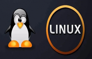 Linux中可替代du命令的工具